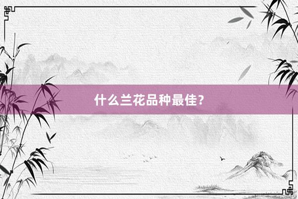 什么兰花品种最佳？