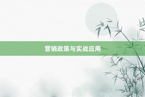 营销政策与实战应用